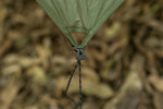 Olive - Ultralight Tarp No Knots preview #7