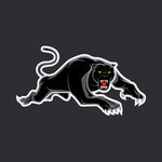 Panthers - NRL Sustainable Down Puffy Blanket